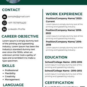Dubai Resume Template – Bold Header Layout