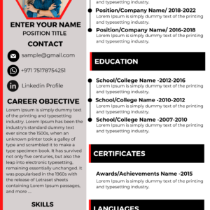 Dubai Resume Template – Experience First Layout