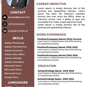 Dubai Resume Template – Modern Classic Balance