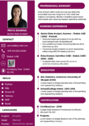 Data Analyst Resume Template Dubai 2026 — Compact Technical | Canva Editable ATS-Friendly