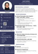 Dubai Resume Templates