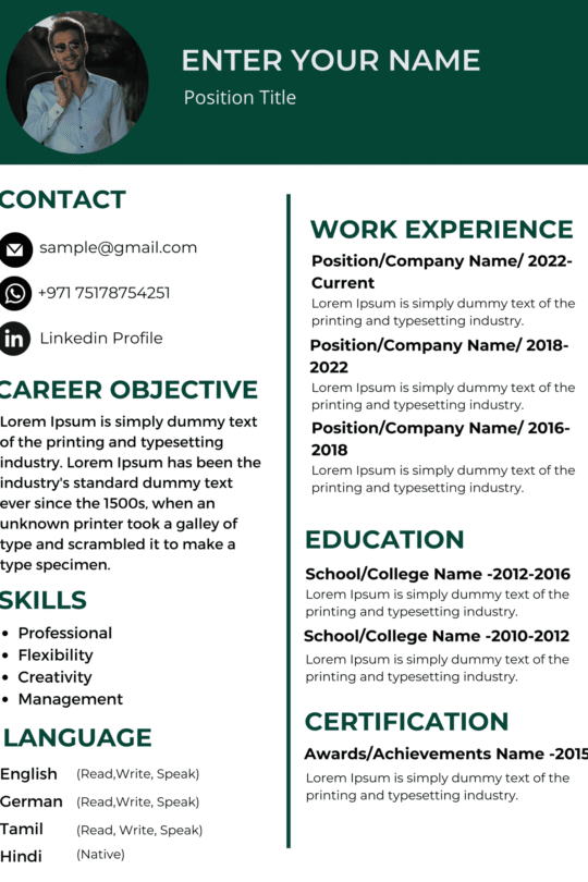 Dubai Resume Template – Bold Header Layout