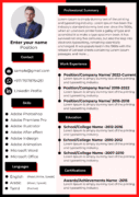 Dubai Resume Template – Achievement Focused